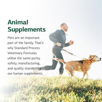 Standard Process Inc. Canine Whole Body Support - Multisystem Support Supplement for Canines - Nutritional Powder for Daily Health Maintenance - Multisystem Supplement Formula - 100 g