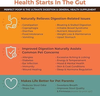 Perfect Poop Digestion & Health Supplement for Dogs: Fiber, Prebiotics, Probiotics, Enzymes Digestive, Hard & Soft Stool, Improved Health (4.2oz Cheddar Bag + 4.2 oz Chicken Bag, 4.2 oz Bundle)