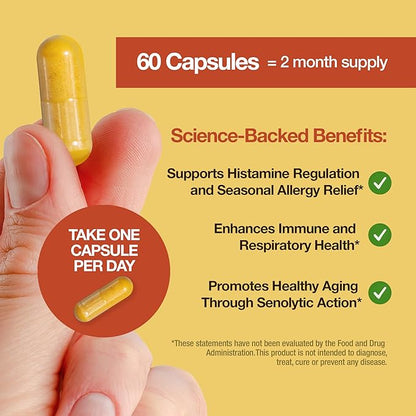 Quercetin Phytosome - High Absorption - Health Supplement for Immune & Respiratory Health Support - Premium Antioxidant - 60 Capsules