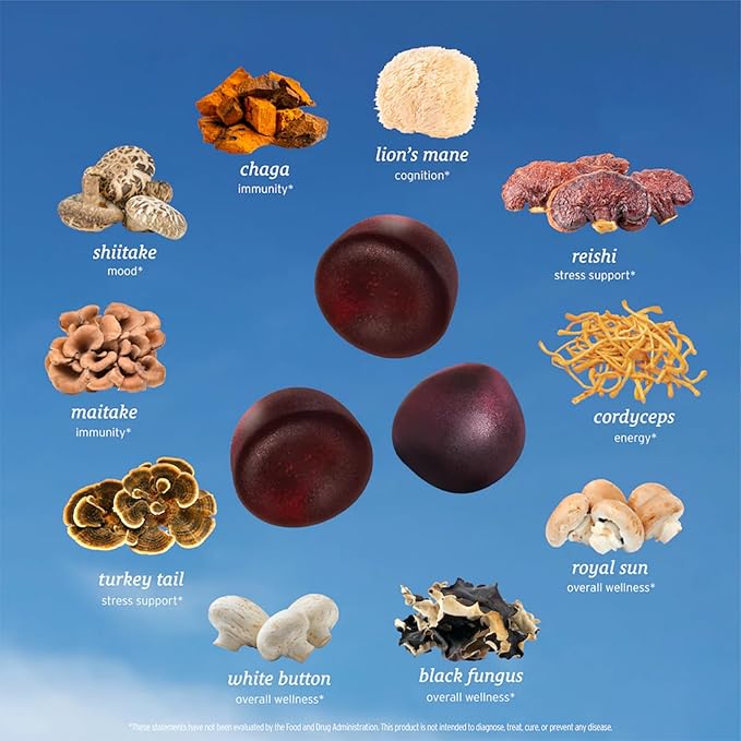 All-in-One Mushroom Gummy Supplements for Focus, Energy, Mood & Immune Support – 10 Functional Mushrooms (Lion’s Mane, Reishi, Cordyceps, Chaga) | Wild Raspberry Flavor, 60ct