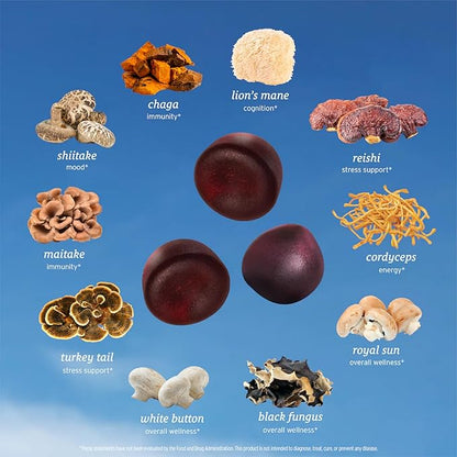All-in-One Mushroom Gummy Supplements for Focus, Energy, Mood & Immune Support – 10 Functional Mushrooms (Lion’s Mane, Reishi, Cordyceps, Chaga) | Wild Raspberry Flavor, 60ct