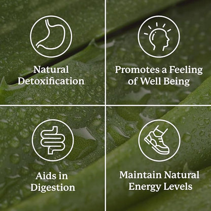 Nature's Sunshine Lower Bowel Stimulator - Helps Relieve Constipation - Cleanse & Detox Your Colon with Natural Herbal Ingredients - 25 Servings - 100 Vegcaps