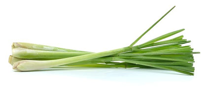 US Organic 100% Pure Lemongrass Essential Oil, USDA Certified Organic, Extracted by Steam Distillation Method, for Hair, Nail Polish Remover, Bees Attraction, and More. 30 ml, Value 2 Pack