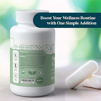 Pattern Wellness Sea Moss Complex - Organic Sea Moss, Burdock Root, Bladderwrack, Vitamin C, & Ginger Capsules - Immune Support, Digestive Health, Energy Support - Vegan, Non-GMO - 30 Capsules