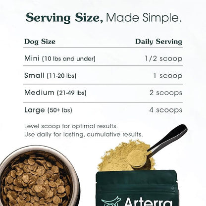 Adult Dog Powder Supplement & Food Topper – 46 Ingredients for Gut, Immune & Brain Health – Daily Longevity Multivitamin for Whole Body Wellness | 60 Scoops