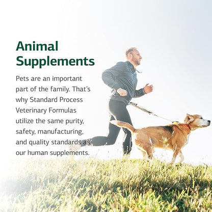 Standard Process Inc. Canine Cardiac Support - Dog Heart Health Supplement - Nutritional Formula to Support Cardiac Function - Pet Health Supplement with Selenium - 25 g