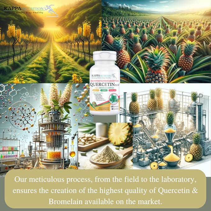 QUERCETIN PLUS, Quercetin 1,000mg, Bromelain 500mg and Vitamin C 1,000mg, (120 Capsules), 3 in 1 from Bioflavonoids, Supports Immune, Cardiovascular & Respiratory Health, Seasonal Allergy Relief.