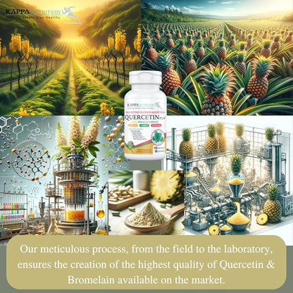 QUERCETIN PLUS, Quercetin 1,000mg, Bromelain 500mg and Vitamin C 1,000mg, (120 Capsules), 3 in 1 from Bioflavonoids, Supports Immune, Cardiovascular & Respiratory Health, Seasonal Allergy Relief.