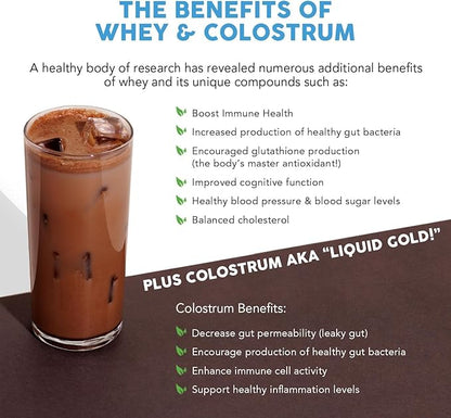Paleovalley 100% Grassfed Whey Protein Powder with Colostrum, 13g Protein, Chocolate, Muscle Building, Immune Support, Gut Health, 30 Servings