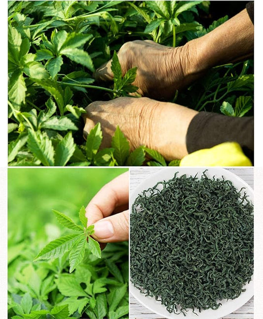 TooGet Wild Jiaogulan Loose Leaf Tea, Premium Gynostemma Pentaphyllum Herbs, 100% Natural Longevity Impurities-Free Tea - 4 OZ
