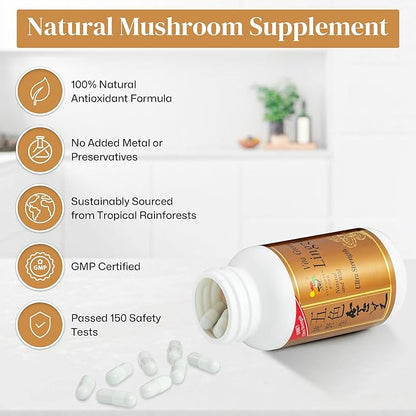 Vita Green Reishi Mushroom Capsules for Energy, Memory, and Immune Support – Pure Reishi Supplement with Natural Antioxidants for Daily Wellness and Engery – 10 Capsules