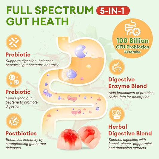 Sugar Free 5-in-1 Probiotic Prebiotic Postbiotic Gummy, 36 Strains Probiotics for Women Men with Digestive Enzymes, Peppermint, Complete Immune, Gut & Digestive Support, Vegan, 60 Counts