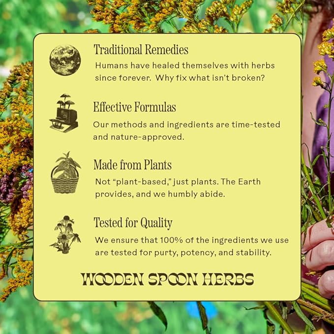 Wooden Spoon Herbs Tranquility Tonic | Organic Stress Relief & Sleep Aid Tincture | Unique Herbal Blend of Skullcap, Ashwagandha, Oat Tops, Holy Basil, Lavender | 2oz, 32 Servings
