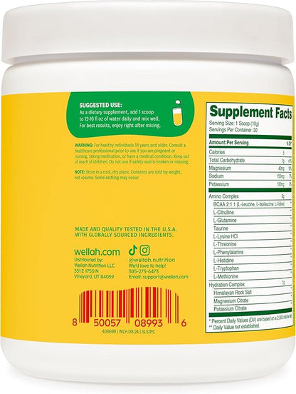 Wellah So Long Soreness BCAA Powder (Pina Colada Flavored) 30 Servings - with Hydration Complex