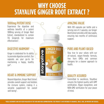 STAY ALIVE Pure Ginger Root Capsules 1000mg, 10:1 Extract Powder with 5% Gingerols, 120 Pills, Extra Strength Root Powder, Vegan, Non-GMO and Gluten-Free Ginger Supplement