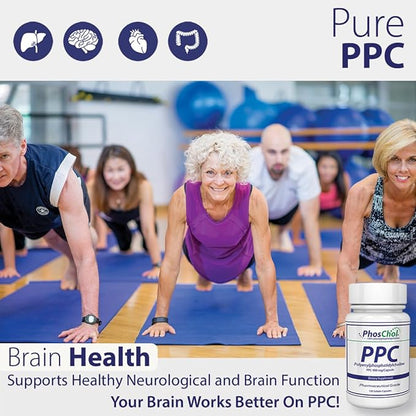 PhosChol PPC Polyenyl PhosphatidylCholine Choline Supplement 900mg 100 Gelatin Capsules