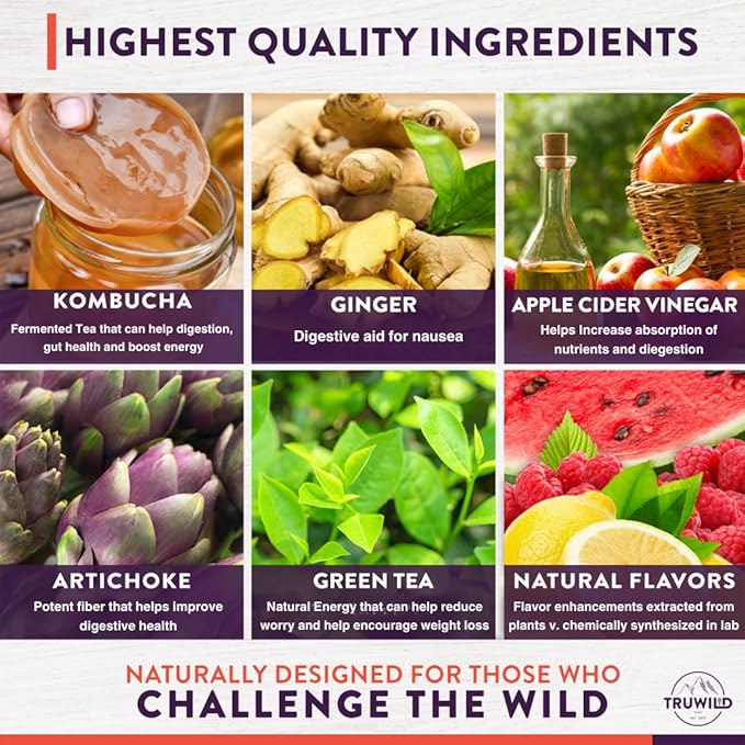 TruWild Natural Kombucha Powder Probiotic Supplement Vegan Drink Mix – Gut Health Digestive Enzymes w/Live Cultures + Apple Cider Vinegar & Prebiotics – 20 Servings