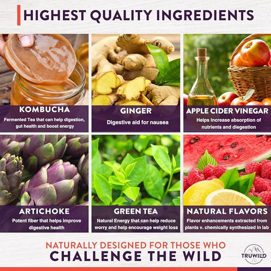 TruWild Natural Kombucha Powder Probiotic Supplement Vegan Drink Mix – Gut Health Digestive Enzymes w/Live Cultures + Apple Cider Vinegar & Prebiotics – 20 Servings