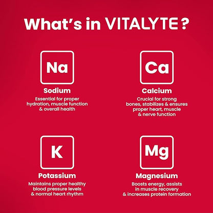 Vitalyte Electrolyte Powder Drink Mix, Isotonic Electrolyte Hydration Mix, Gluten Free Post Workout Powder Mix, Pack of 2, 35 oz. Each, Fruit Punch Flavor