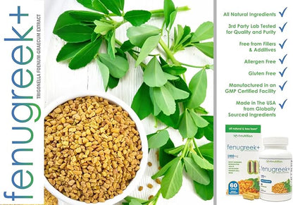 VH Nutrition Fenugreek+ | 1400mg Extra Strength Fenugreek Capsules | Hormonal Balance and Energy Support Supplement for Men & Women | 60 Gluten-Free Capsules