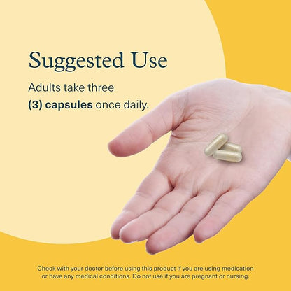 Youtheory Lion's Mane+ Capsule 90 Vegetarian Capsules
