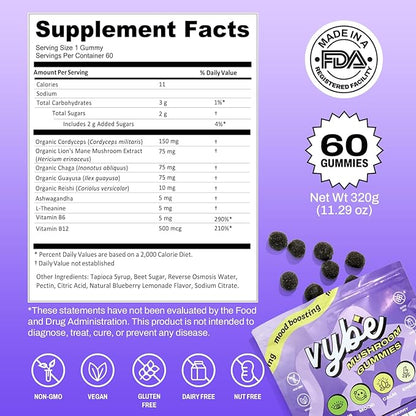 Vybe Daily Nootropic Gummies – 8-in-1 Mushroom & Adaptogen Brain Supplement for Focus, Energy, and Mood with Lion's Mane, Cordyceps, Reishi, Chaga, Ashwagandha (Blueberry, 60-Count)