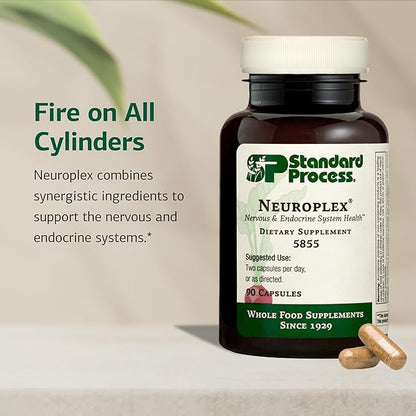 Standard Process Inc. Neuroplex - Whole Food Nervous System Supplements, Brain Health and Brain Support with Thiamin, Spanish Moss, Riboflavin, Calcium Lactate, Vitamin B6, Niacin - 90 Capsules