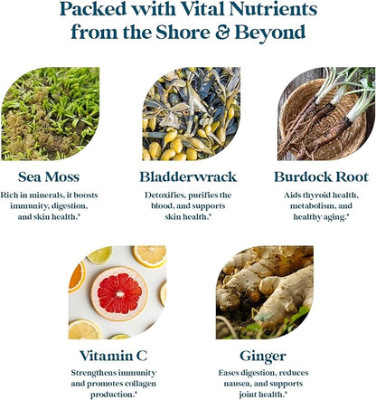 Pattern Wellness Sea Moss Complex - Organic Sea Moss, Burdock Root, Bladderwrack, Vitamin C, & Ginger Capsules - Immune Support, Digestive Health, Energy Support - Vegan, Non-GMO - 30 Capsules