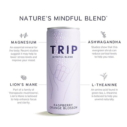 Trip Mindful Blend, Lightly Sparkling Adaptogen Seltzer, Mocktail w/ 120mg Magnesium Citrate with Ashwagandha, Lions Mane & L Theanine, No Added Sugar, Vegan, Raspberry Orange Blossom, 12 Oz, 12Pk
