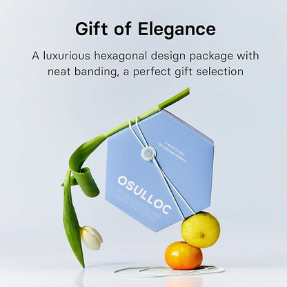 OSULLOC TEA VARIATION ESSENCE (42 Count, 6 Types x 7 ea), Assorted Tea bag Sampler, Exceptional Designed Variety Tea gift Set, Premium Tea sets from Jeju Island tea farm