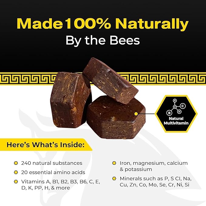 Spartan Bee Bread Chewables Natural Multivitamin | High Absorption Organic Bee Pollen & Honey | Fermented by Bees for Energy, Vitality, Sleep, Recovery, Immunity | Non GMO, Nothing Synthetic