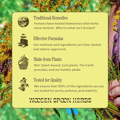 Wooden Spoon Herbs - Refreshing Lemon-Ginger Immune Support Drink Mix | Includes Immunity Boosting Organic Elderberry, Echinacea, Plant-Sourced Zinc & Vitamin C | 10 On-The-Go Sachets (1 Carton)