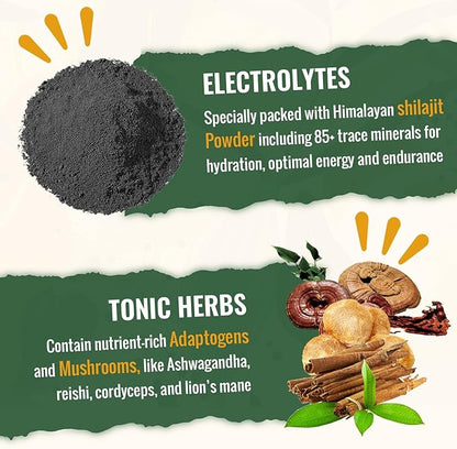 Super Greens Powder Superfood + Electrolytes & Tonic Herbs | Organic Greens, Shilajit, Adaptogens, Antioxidants, Preobiotic & Probiotic & Postbiotic| for Energy, Gut & Immune| Unflavored - 30 Servings