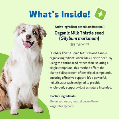 Pet Wellbeing Milk Thistle for Dogs - Organic, Supports Liver Health, Healthy Detoxification, Antioxidants, Liver Cell Support, Silymarins - Veterinarian-Formulated Herbal Supplement 4 oz (118 ml)