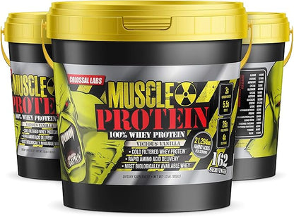 Whey Protein Blend [12 Pounds/Pack of 1]–Vicious Vanilla, Cold Filtered, 25g Pure Protein, 6.6g BCAAs/Serving(Packaging May Vary)