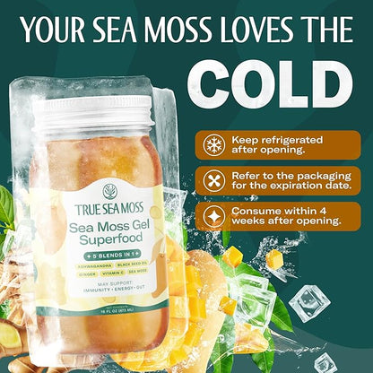 TrueSeaMoss Sea Moss Gel – Made in USA – 5-in-1 Formula – Wildcrafted Seamoss, Ashwagandha & Sea Vegetables – Ashwagandha, Pack of 3 (Labels may Vary)