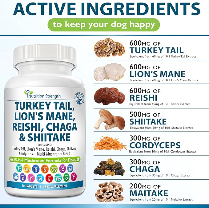 15-in-1 Mushrooms for Dogs Turkey Tail 600mg Lion's Mane 600mg Reishi 600mg Shiitake 500mg Cordyceps 300mg Chaga 300mg Maitake 200mg Meshima Blazei Poria Enoki Portobello 90 Tablets