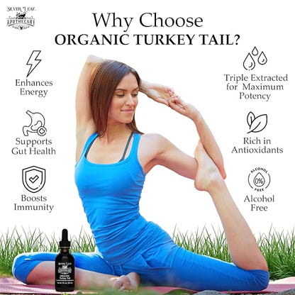 Silverleaf Apothecary Organic Triple-Extracted Turkey Tail Tincture Mushroom Supplement for Immune Support, Gastrointestinal & Gut Microbiome Wellness - 2 Fl Oz (60ml)