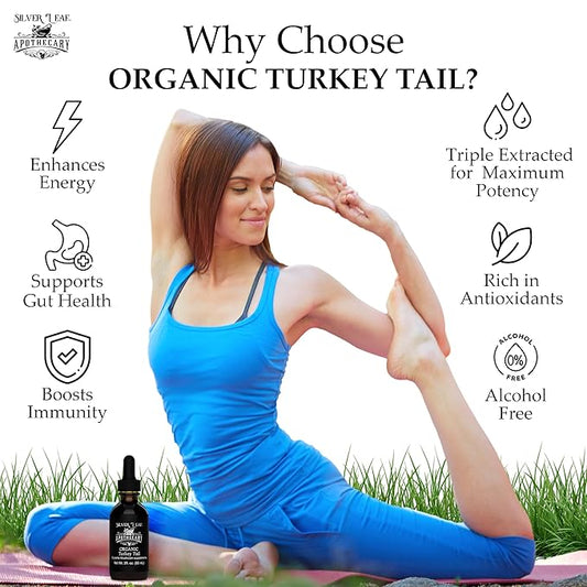 Silverleaf Apothecary Organic Triple-Extracted Turkey Tail Tincture Mushroom Supplement for Immune Support, Gastrointestinal & Gut Microbiome Wellness - 2 Fl Oz (60ml)