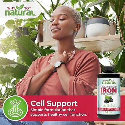 Why Not Natural Liquid Iron Supplement for Women, Men and Kids, Vegan Formulation for Anemia, Sugar Free, Vegan, Non-GMO, Organic BlackBerry Flavor 16 Fl Oz