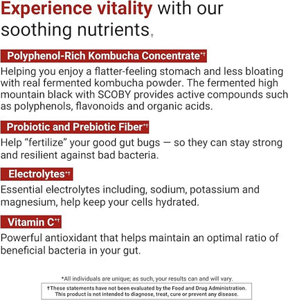 ACTIVATEDYOU Daily Digestive Tonic Kombucha - Support Healthy Digestion & Youthful, Long-Lasting Energy- Prebiotic Fiber, Probiotics, Postbiotics, Vitamin C, Berry Lemonade Flavor (30 Servings)