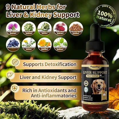 (2 Pack) Poppaw Milk Thistle for Dogs – 9-in-1 Liver & Kidney Support with Artichoke, Resveratrol, Marigold Extract, 100% Natural Detox Herbal Supplement, Chicken Flavor, 2 Oz