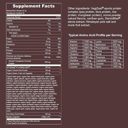 Vegan Sport Protein Powder Chocolate 20 servings – 30g Plant Based Protein, VELOSITOL, BCAAs, Organic Greens & Fruits, Probiotics, Tart Cherry for Post Workout Recovery, Inform Sports Certified Keto