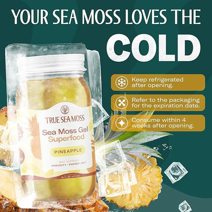 TrueSeaMoss Sea Moss Gel – Made in USA – Wildcrafted Seamoss, Fresh Fruits & Sea Vegetables – Pineapple, Pack of 3 (Labels may Vary)