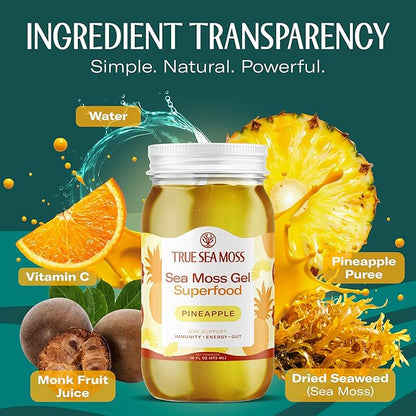 TrueSeaMoss Sea Moss Gel – Made in USA – Wildcrafted Seamoss, Fresh Fruits & Sea Vegetables – Pineapple, Pack of 3 (Labels may Vary)