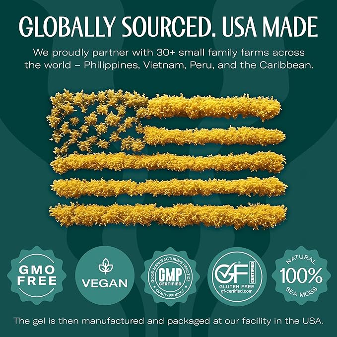 TrueSeaMoss Sea Moss Gel – Made in USA – Wildcrafted Seamoss, Fresh Fruits & Sea Vegetables – Pineapple, Pack of 3 (Labels may Vary)