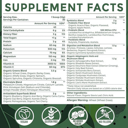 Super Greens Powder Superfood + Electrolytes & Tonic Herbs | Organic Greens, Shilajit, Adaptogens, Antioxidants, Preobiotic & Probiotic & Postbiotic| for Energy, Gut & Immune| Unflavored - 30 Servings