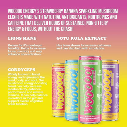Wooooo! Energy Ric Flair Sparkling Adaptogenic Mushroom Energy Drink | Natural Antioxidants & Nootropics | Lion’s Mane & Cordyceps | 150mg Caffeine | 12 Pack (Variety Pack)