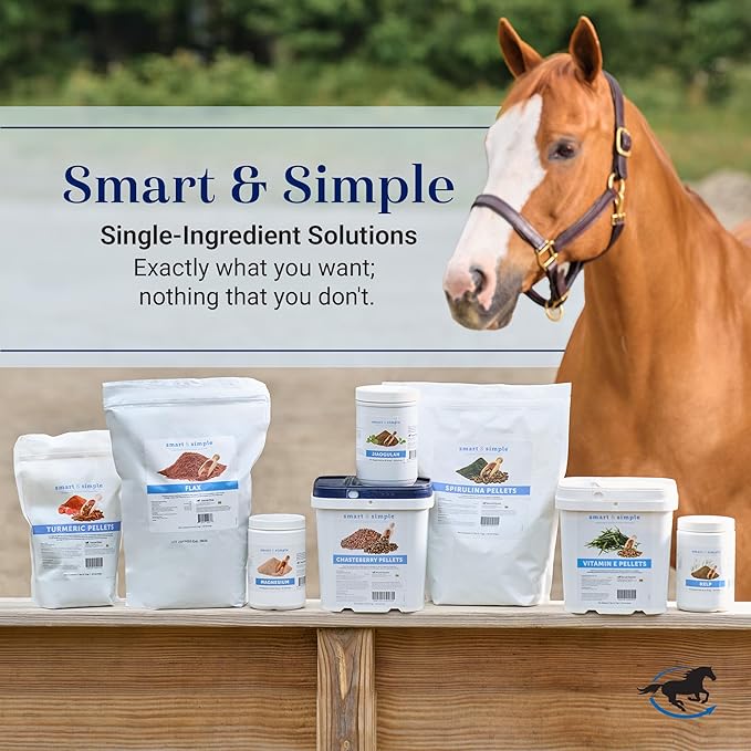 SmartEquine Smart & Simple Jiaogulan | Horse Supplement | Supports Proper Circulation for Overall Well-Being | Muscle Support | 324 Servings | 5lb
