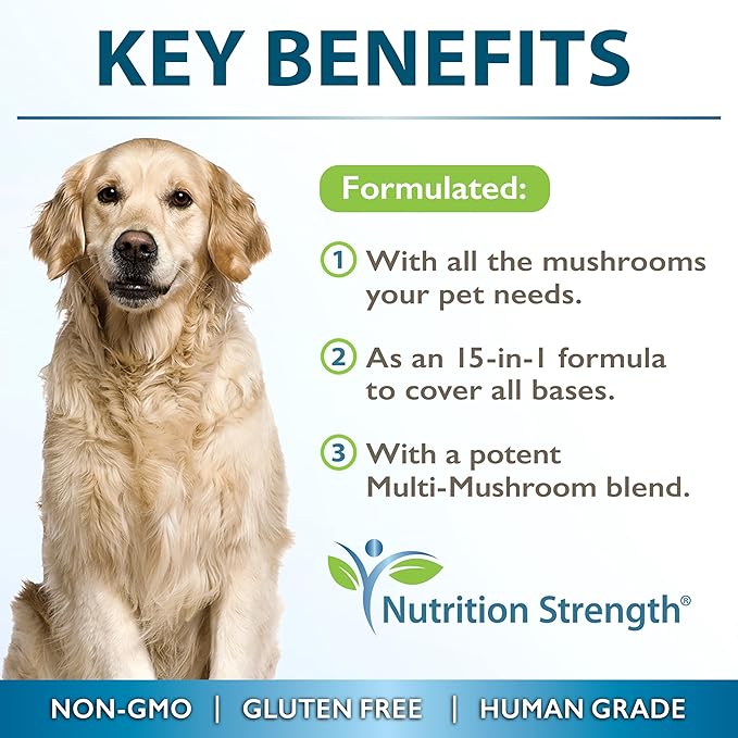15-in-1 Mushrooms for Dogs Turkey Tail 600mg Lion's Mane 600mg Reishi 600mg Shiitake 500mg Cordyceps 300mg Chaga 300mg Maitake 200mg Meshima Blazei Poria Enoki Portobello 90 Tablets